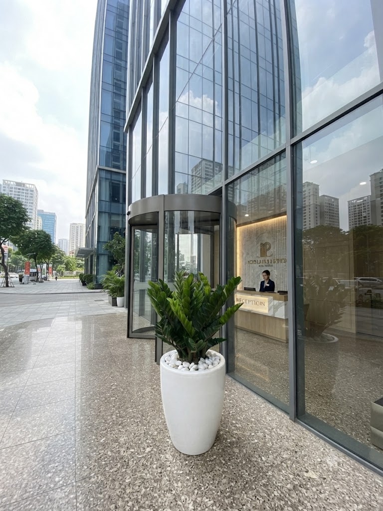 Cây Kim Tiền ảnh 6